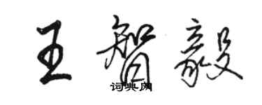 駱恆光王智毅行書個性簽名怎么寫