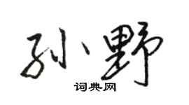 駱恆光孫野行書個性簽名怎么寫