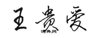 駱恆光王貴愛行書個性簽名怎么寫