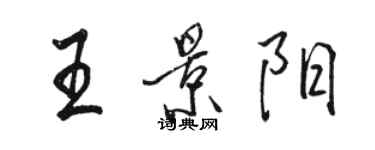 駱恆光王景陽行書個性簽名怎么寫