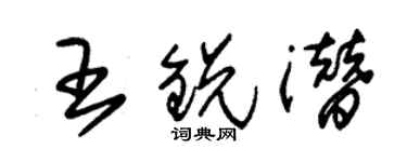 朱錫榮王銳潛草書個性簽名怎么寫