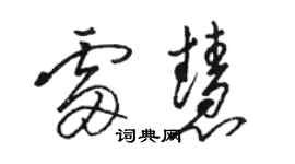 駱恆光雷慧草書個性簽名怎么寫