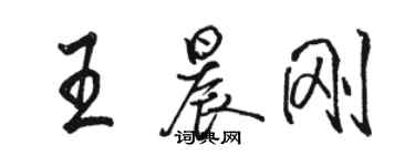 駱恆光王晨剛行書個性簽名怎么寫