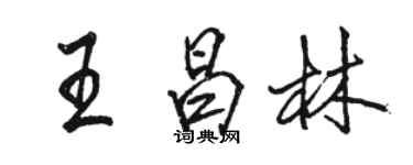 駱恆光王昌林行書個性簽名怎么寫