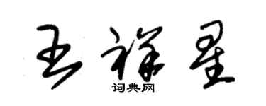 朱錫榮王祥星草書個性簽名怎么寫