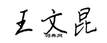 王正良王文昆行書個性簽名怎么寫