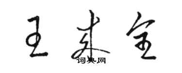 駱恆光王來全草書個性簽名怎么寫