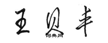 駱恆光王貝豐行書個性簽名怎么寫