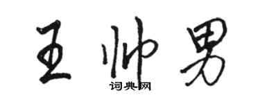 駱恆光王帥男行書個性簽名怎么寫