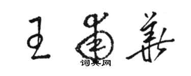 駱恆光王甫華草書個性簽名怎么寫