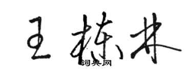 駱恆光王棟林草書個性簽名怎么寫