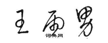 駱恆光王雨男草書個性簽名怎么寫
