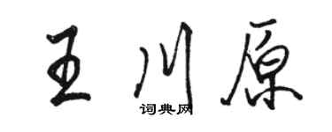 駱恆光王川原行書個性簽名怎么寫