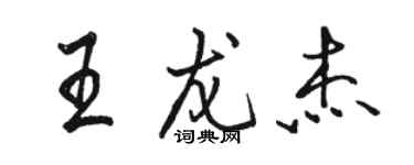 駱恆光王龍傑行書個性簽名怎么寫