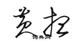 駱恆光黃想草書個性簽名怎么寫
