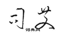 駱恆光司艾草書個性簽名怎么寫