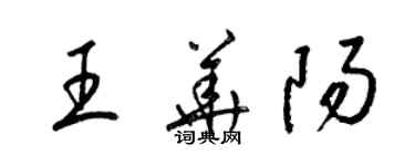 梁錦英王華陽草書個性簽名怎么寫