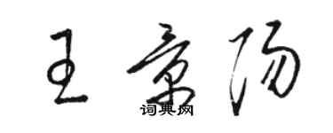 駱恆光王景陽草書個性簽名怎么寫