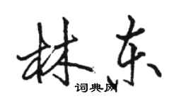 駱恆光林東行書個性簽名怎么寫
