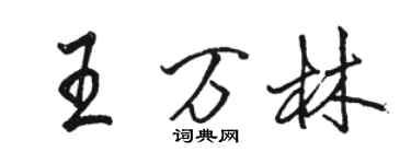 駱恆光王萬林行書個性簽名怎么寫