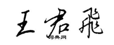 王正良王君飛行書個性簽名怎么寫