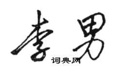 駱恆光李男行書個性簽名怎么寫