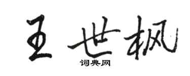 駱恆光王世楓行書個性簽名怎么寫