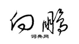 梁錦英向鵬草書個性簽名怎么寫