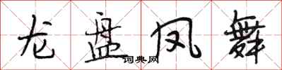 段相林龍盤鳳舞行書怎么寫