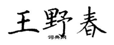 丁謙王野春楷書個性簽名怎么寫