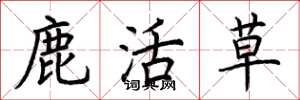 荊霄鵬鹿活草楷書怎么寫