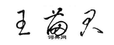 駱恆光王苗君草書個性簽名怎么寫