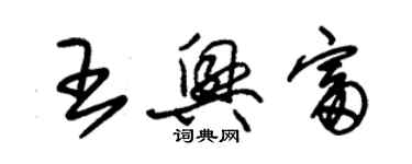 朱錫榮王興富草書個性簽名怎么寫