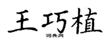 丁謙王巧植楷書個性簽名怎么寫