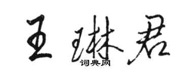 駱恆光王琳君行書個性簽名怎么寫