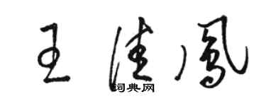 駱恆光王佳鳳草書個性簽名怎么寫