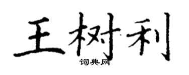丁謙王樹利楷書個性簽名怎么寫