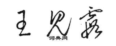 駱恆光王見霞草書個性簽名怎么寫