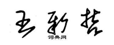 朱錫榮王新哲草書個性簽名怎么寫