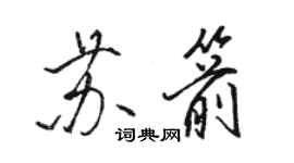 駱恆光蘇箭行書個性簽名怎么寫