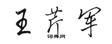 駱恆光王芹軍行書個性簽名怎么寫