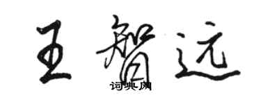 駱恆光王智遠行書個性簽名怎么寫