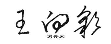 駱恆光王向彩草書個性簽名怎么寫