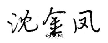 曾慶福沈金鳳行書個性簽名怎么寫