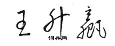 駱恆光王升贏草書個性簽名怎么寫