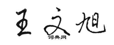 駱恆光王文旭行書個性簽名怎么寫