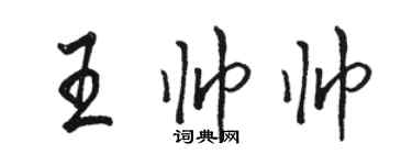 駱恆光王帥帥行書個性簽名怎么寫