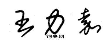 朱錫榮王力嘉草書個性簽名怎么寫