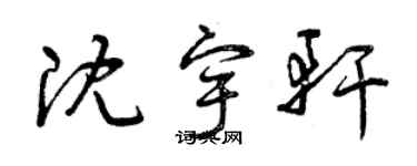 曾慶福沈宇軒草書個性簽名怎么寫