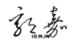 駱恆光郭嘉草書個性簽名怎么寫